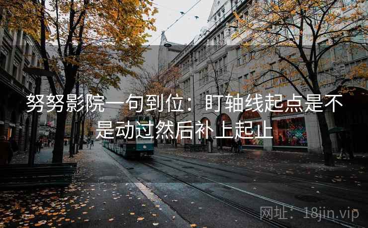 努努影院一句到位：盯轴线起点是不是动过然后补上起止